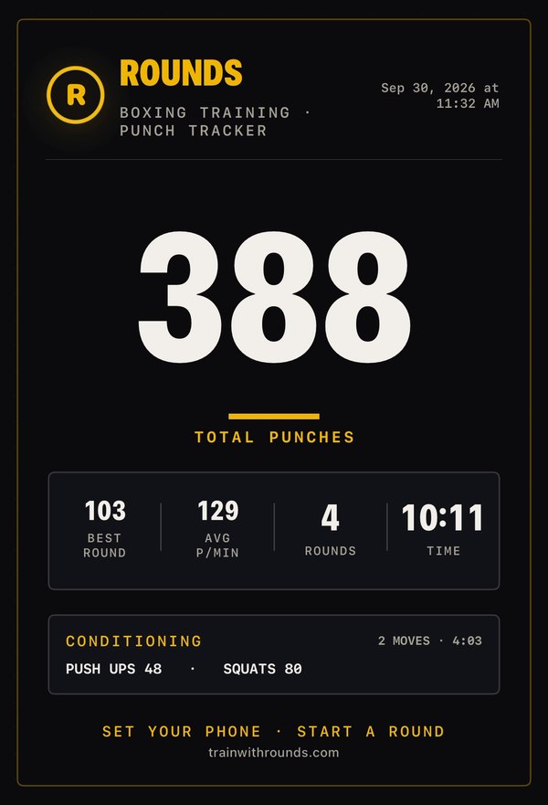 ROUNDS result card showing 388 total punches in 10 minutes 11 seconds